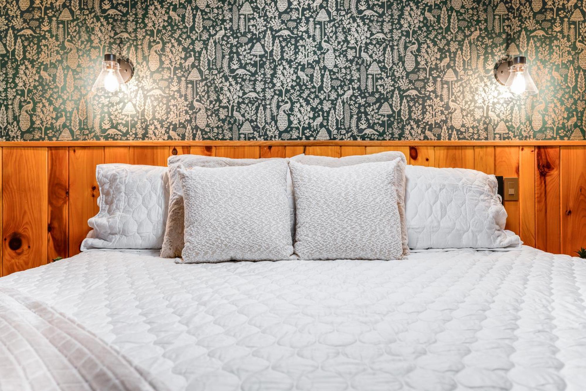 Seneca Pines Lodge Seneca Rocks Εξωτερικό φωτογραφία