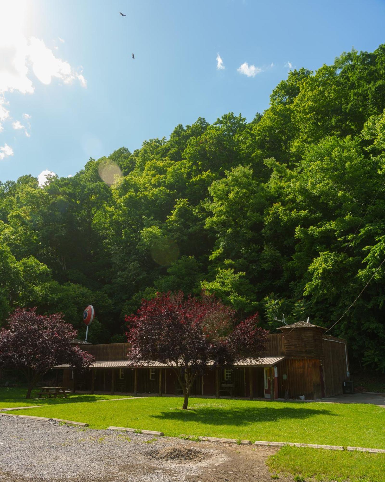 Seneca Pines Lodge Seneca Rocks Εξωτερικό φωτογραφία
