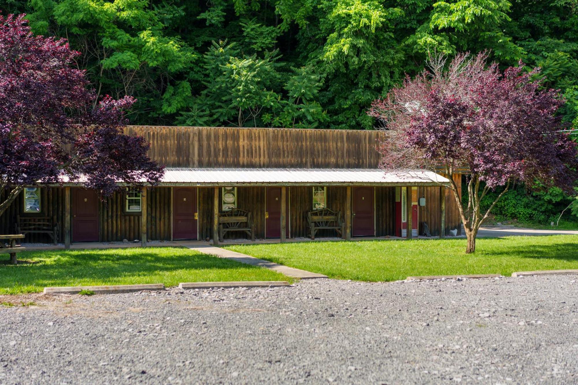 Seneca Pines Lodge Seneca Rocks Εξωτερικό φωτογραφία